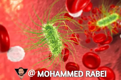 Bacteria-in-Blood