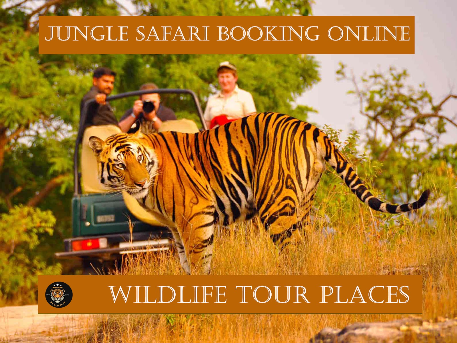 sariska tiger safari booking