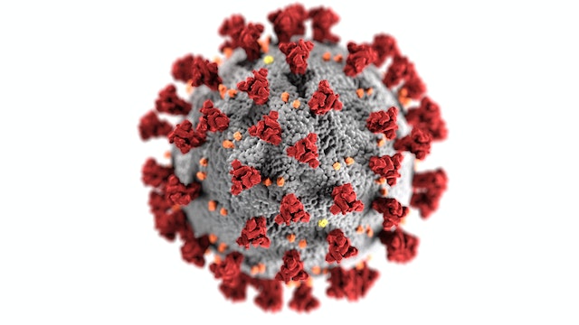 coronavirus adalah salah satu contoh mikroorganisme berjenis virus