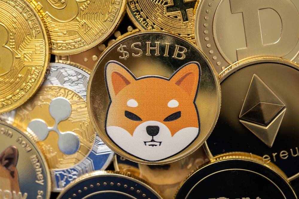 Top 5 Reasons Why You Should Buy Shiba Inu Today for 2022 Gains
