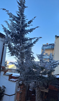 Winter_Dezember_2022