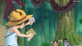 ワンピースアニメ ドレスローザ編 737話 エース サボ ルフィ 幼少期 ASL | ONE PIECE Episode 737