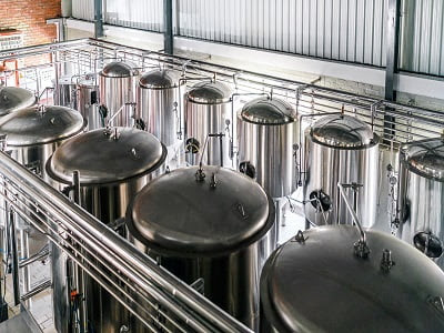 Precision Fermentation Market - TechSci Research