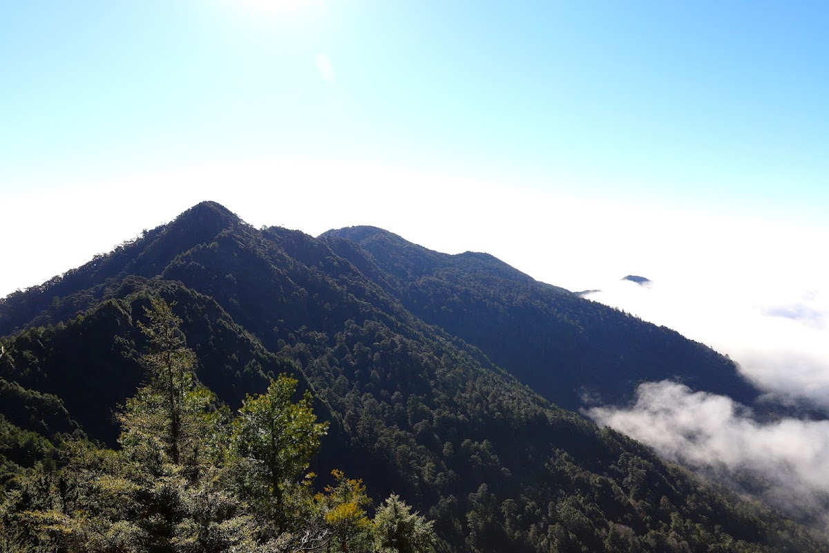 卑南東稜佐美姬山回望美奈田山