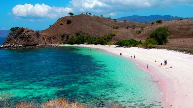 Keindahan Pantai Pink Lombok Timur