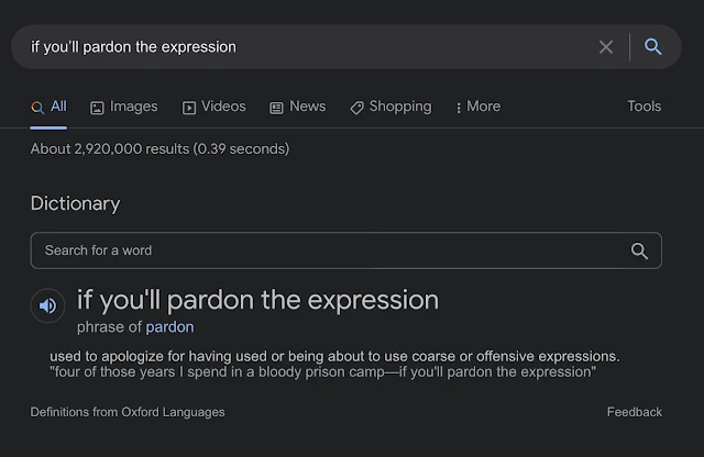英語表現"if you'll pardon the expression"をGoogle検索した結果が表示されています。辞書の項目が表示されていて、その表現が定型表現であることがわかるようになっています。