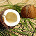 Healing Power Of Coconut Oil
