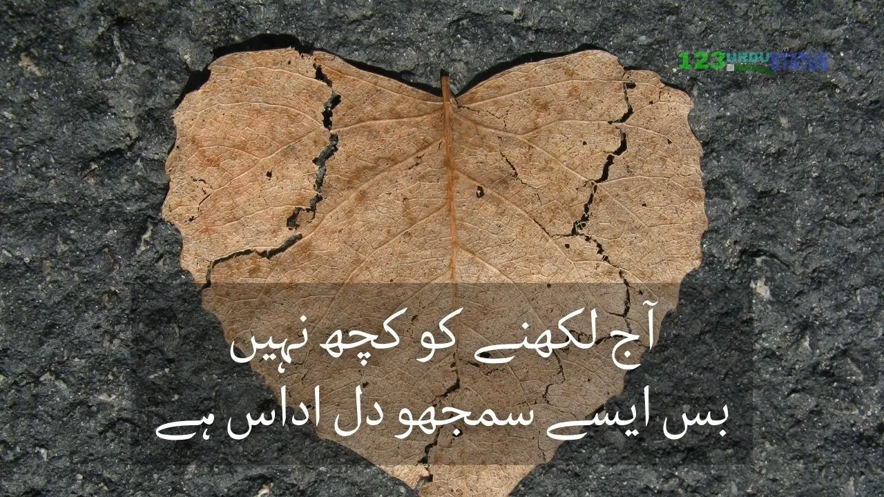 Best Sad Poetry in Urdu | Sad Urdu Poetry