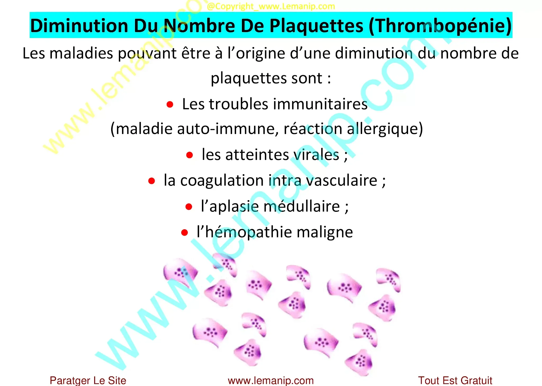 Thrombopénie : Diminution Du Nombre De Plaquettes