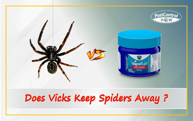 does-vicks-keep-spiders-away