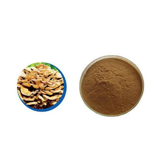 MycoNutra® mushroom extract in Chandigarh.