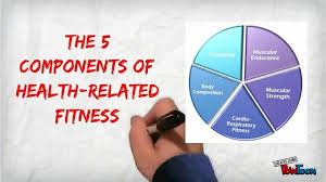Components of Fitness that are Health-Related