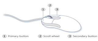 parts of mouse