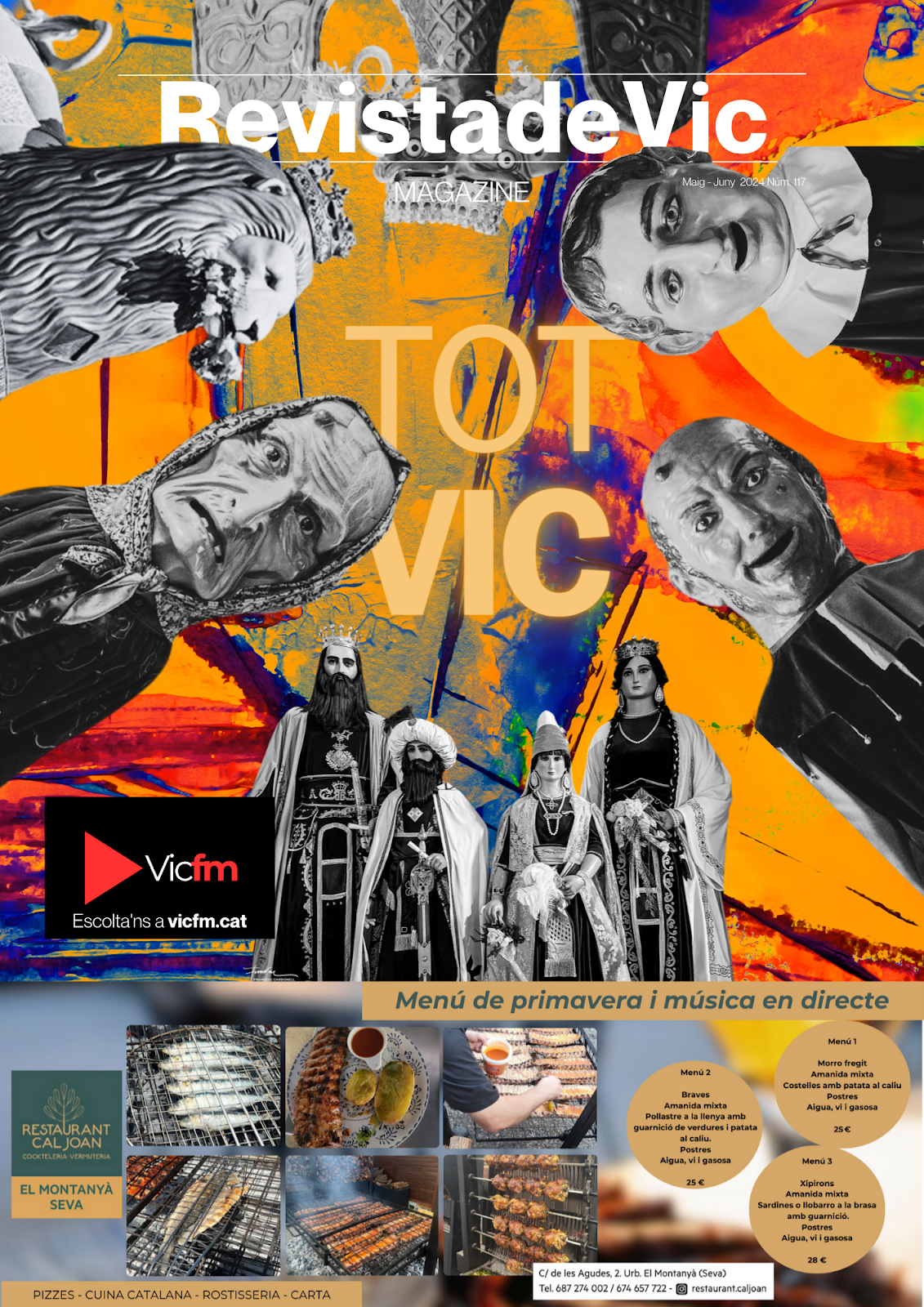 Revista de Vic 117