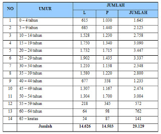 jumlah penduduk berdasarkan Struktur Umur