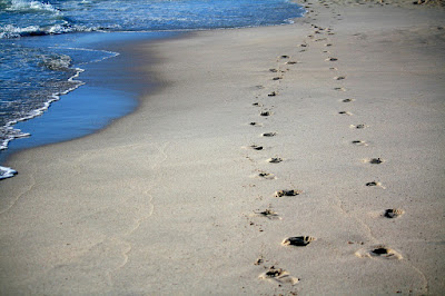 Pegadas na areia na beira do mar. #PraCegoVer