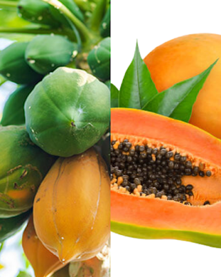 Why is Healthy Papaya Fruit Necessary for our Health? - HEALTHYFRUITS25