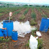 Pesquisadores detectam água contaminada por agrotóxico em Coremas