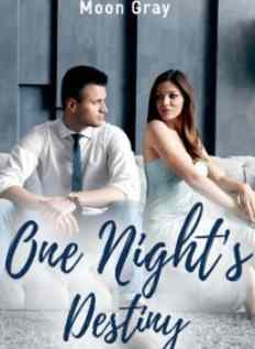 Novel One Night's Destiny Karya Moon Gray Full Episode