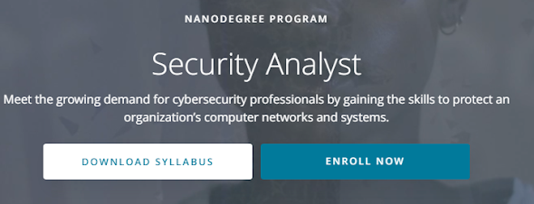 security analyst