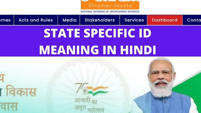 e-Shram- State Specific Id Meaning In Hindi 