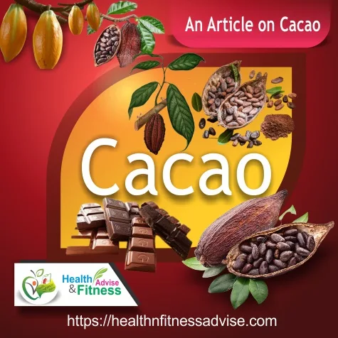 cacao-healthnfitnessadvise-com