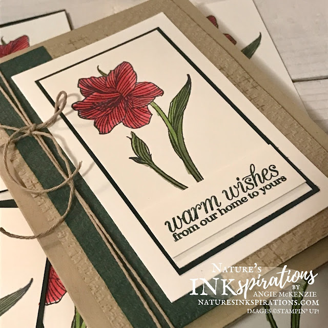 Amaryllis Abloom for some special Christmas cards | Nature's INKspirations by Angie McKenzie