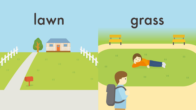lawn と grass の違い