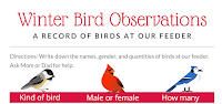 We're Counting Birds! - A Lesson in Citizen Science and Canva Template Creation