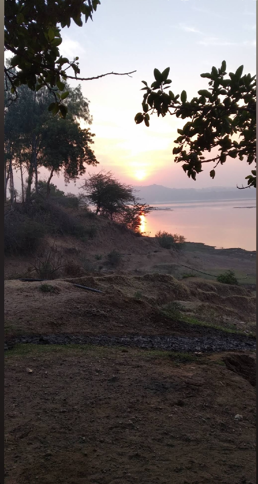 इमेज