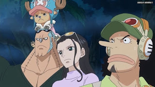 ワンピースアニメ ゾウ編 764話 ウソップ ロビン フランキー チョッパー | ONE PIECE Episode 764