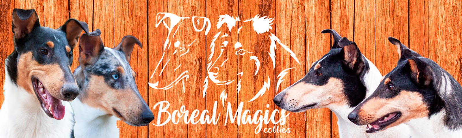 Kennel Boreal Magics