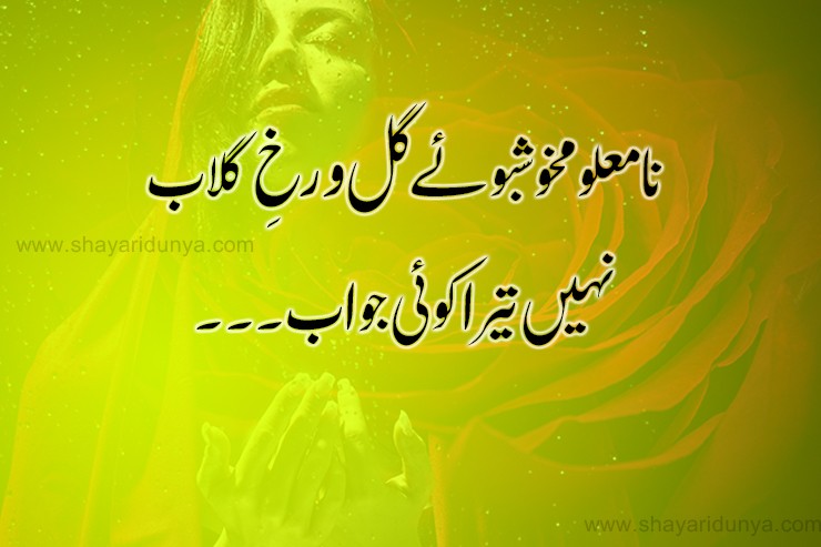 Top 20 khushboo poetry in urdu |  khushboo shayari 2 lines | khushboo quotes
