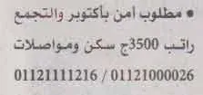 اعلانات وظائف أهرام الجمعة اليوم 24/12/2021