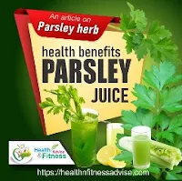 organic-parsley-for-uti-www-healthnfitnessadvise-com