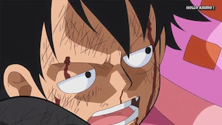 ワンピースアニメ WCI編 872話 ルフィ Monkey D. Luffy | ONE PIECE ホールケーキアイランド編