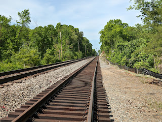 On a walk in DelCarte in May 2021, popped out of the woods to view the tracks heading to Franklin Station