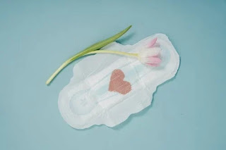 different types of Sanitary Pads ichhori.com