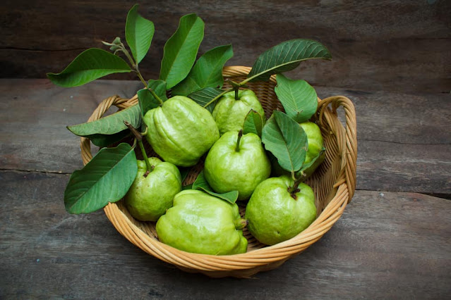 Guava leaves cure diabetes