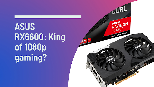 King of 1080p gaming? ASUS Dual RX6600 Review