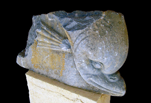 Ιερό Ποσειδώνα και Αμφιτρίτης στα Κιόνια. Ναός. Μαρμάρινο ανάγλυφο δελφίνι (4ος -2ος αι. π.Χ.)