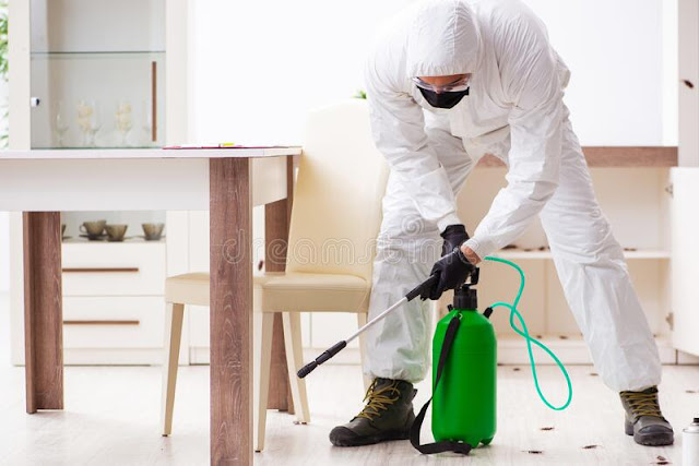 pest-control-services-in-the-hills-district