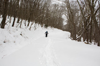 Michael Snowshoeing up the road