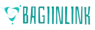 BagiinLink