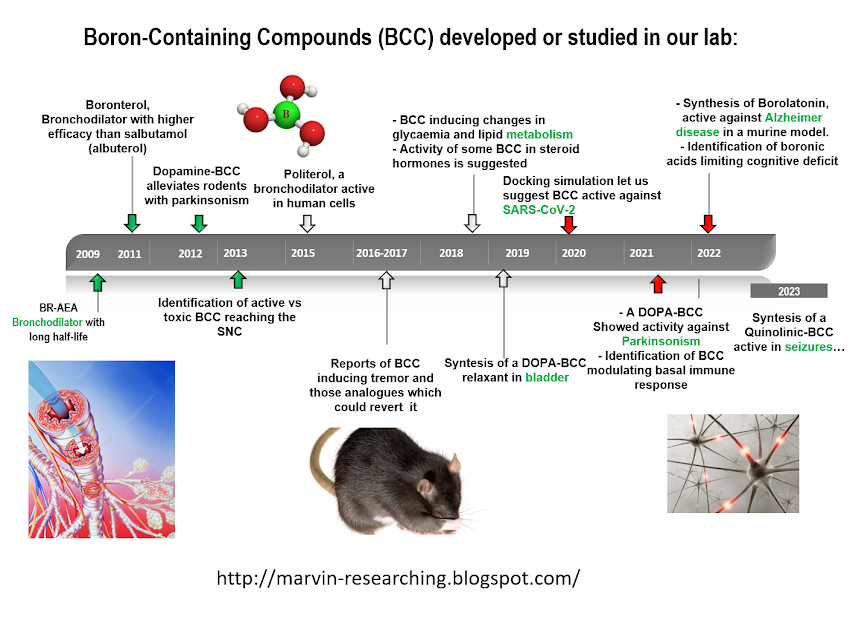 Boron containing compounds from our lab