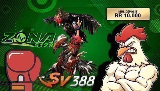 Situs Sv388 | Agen Sabung Ayam Online Sv388 Apk | Download APK SV 388 Terbaru