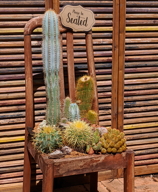 Cactus Chair