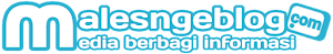 Logo Malesngeblog