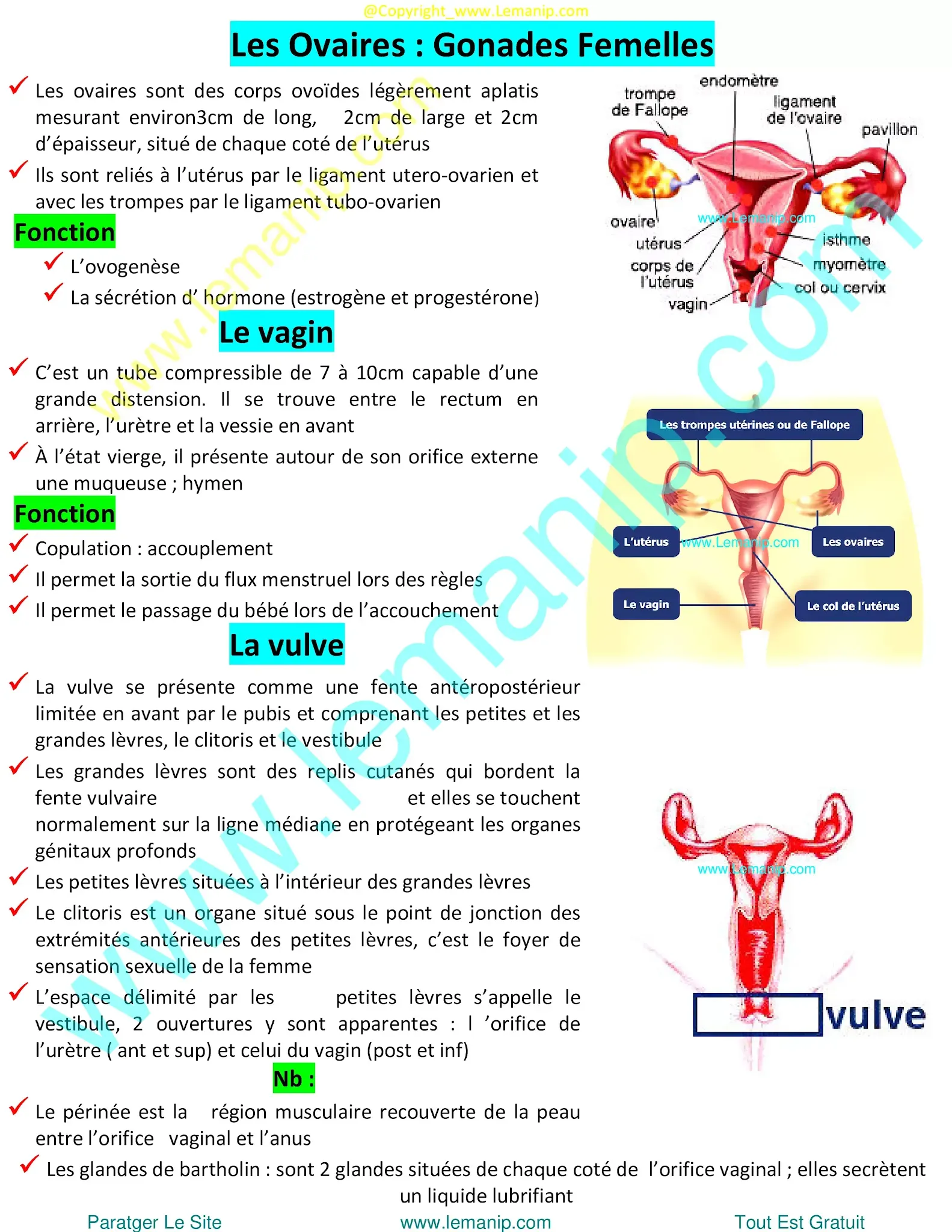 hysterosalpingography preparation,genetic testing female infertility,fl hysterosalpingography,xr hysterosalpingography,best female fertility test,camp lejeune infertility,female fertility clinic,women's infertility clinic,women's fertility clinic,fertility clinic for women