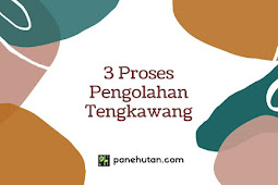 3 Proses Pengolahan Tengkawang